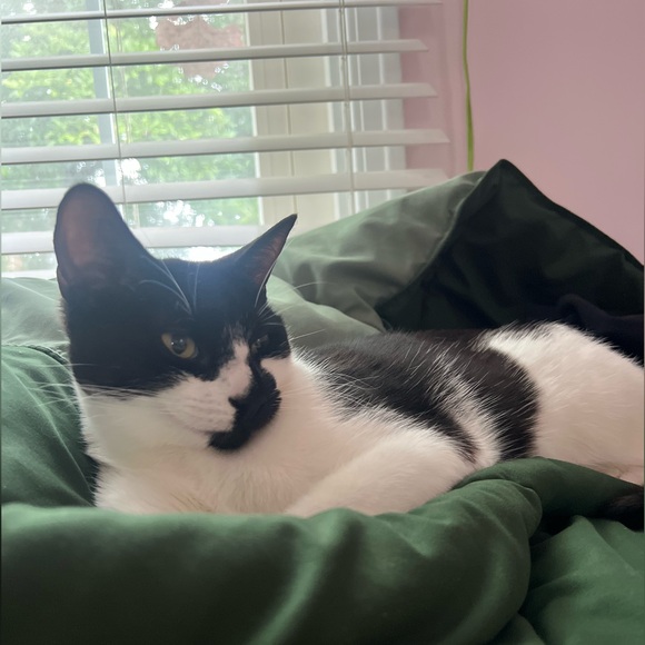 daisymae315